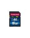 Transcend karta pamięci SDHC 16GB Class 10 UHS-I - nr 9