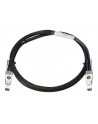 HP 2920 3.0m Stacking Cable (J9736A) - nr 13
