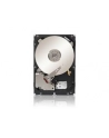 Dysk SEAGATE ST3000NM0023 3TB 7200 128MB SAS - nr 13