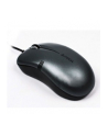 A4Tech mouse OP-560NU V-Track Padless Mouse USB (Black) - nr 9