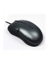 A4Tech mouse OP-560NU V-Track Padless Mouse USB (Black) - nr 10