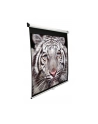 Elite Screens M150XWH2 Manual Pull Down Screen 150'' 16:9 / Diagonal 381cm, W 332cm x H 186.7cm / White case / 160° view angle / MaxWhite material / Gain 1.1 / Dual wall and ceiling installation / Auto-locking system - nr 10
