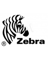 Zebra GX430t  300 dpi  print server GX43-102420-000 - nr 3