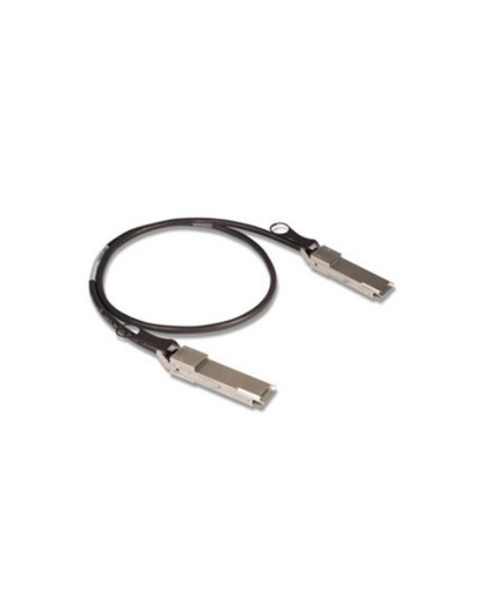 1m QSFP+ Passive Copper Cable główny