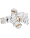 Wtyk RJ45 (8P8C) UTP kat 5e - nr 5