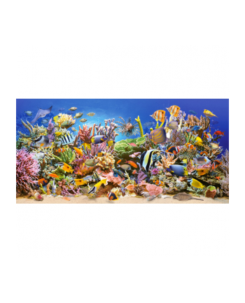 CASTOR 4000 EL. Podwodne Życie