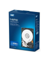 Dysk WD LAPTOP MAINSTREAM 500GB 5400 8MB 3Gb/s EMEA - nr 15