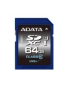 SDXC Premier 64GB UHS-1/class10 - nr 29