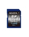 SDXC Premier 64GB UHS-1/class10 - nr 32