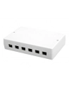 Digitus Obudowa do 6/12 modułów Keystone, desktop - nr 9
