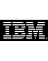 IBM 600GB 10k 2,5 6Gb SAS (00W1160) - nr 2