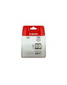 Tusz Canon PG-545/CL-546 Multi pack BLISTER | PIXMA MG2450 - nr 7