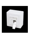 LOGILINK Gniazdo nat/podt. CAT6 2xRJ45 ekranowane - nr 16