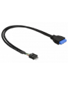 Delock Cable USB 3.0 płyta główna (F) > USB 2.0 płyta główna (M), 0.3m - nr 26
