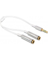 Delock Kabel Jack Stero Mini(M) 3.5mm 3-PIN > Jack Stereo mini(F) 3-PIN x2, 25cm - nr 15