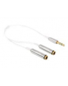 Delock Kabel Jack Stero Mini(M) 3.5mm 3-PIN > Jack Stereo mini(F) 3-PIN x2, 25cm - nr 17