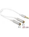 Delock Kabel Jack Stero Mini(M) 3.5mm 3-PIN > Jack Stereo mini(F) 3-PIN x2, 25cm - nr 21