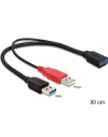 Delock kabel USB-A(M) x2 -> AF 3.0, 30cm - nr 10