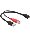Delock kabel USB-A(M) x2 -> AF 3.0, 30cm - nr 11