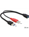 Delock kabel USB-A(M) x2 -> AF 3.0, 30cm - nr 19