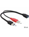 Delock kabel USB-A(M) x2 -> AF 3.0, 30cm - nr 1
