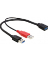 Delock kabel USB-A(M) x2 -> AF 3.0, 30cm - nr 21