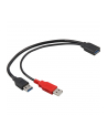 Delock kabel USB-A(M) x2 -> AF 3.0, 30cm - nr 22