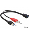 Delock kabel USB-A(M) x2 -> AF 3.0, 30cm - nr 2