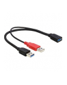 Delock kabel USB-A(M) x2 -> AF 3.0, 30cm - nr 8