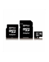 SILICON POWER 8GB, MICRO SDHC, CLASS 10 WITH SD ADAPTER - nr 1