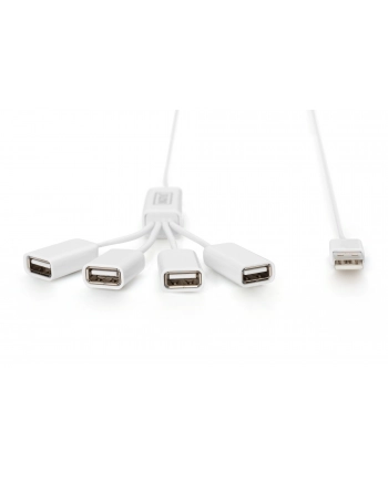 Hub USB 2.0 DIGITUS pasywny