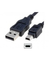 Kabel USB ASSMANN 2.0 A/M - mini B/M, 1m - nr 6