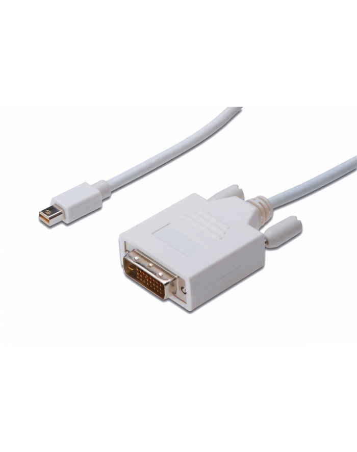 Kabel DisplayPort ASSMANN DP mini/M - DVI-D (24+1) /M, 1m główny