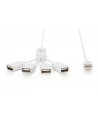 Hub USB 2.0 DIGITUS pasywny - nr 30