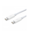 Apple Thunderbolt Cable (2.0 m) - nr 14
