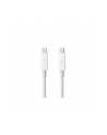 Apple Thunderbolt Cable (2.0 m) - nr 15
