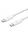 Apple Thunderbolt Cable (2.0 m) - nr 20