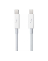 Apple Thunderbolt Cable (2.0 m) - nr 24