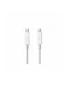 Apple Thunderbolt Cable (2.0 m) - nr 31