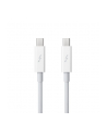 Apple Thunderbolt Cable (0.5 m) - nr 9