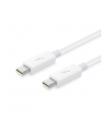 Apple Thunderbolt Cable (0.5 m) - nr 10