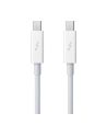 Apple Thunderbolt Cable (0.5 m) - nr 18