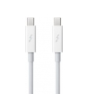 Apple Thunderbolt Cable (0.5 m) - nr 19