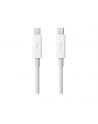 Apple Thunderbolt Cable (0.5 m) - nr 23