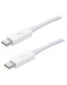 Apple Thunderbolt Cable (0.5 m) - nr 25