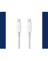 Apple Thunderbolt Cable (0.5 m) - nr 27