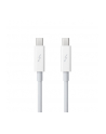Apple Thunderbolt Cable (0.5 m) - nr 33