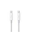 Apple Thunderbolt Cable (0.5 m) - nr 3
