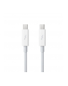 Apple Thunderbolt Cable (0.5 m) - nr 36