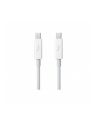 Apple Thunderbolt Cable (0.5 m) - nr 37